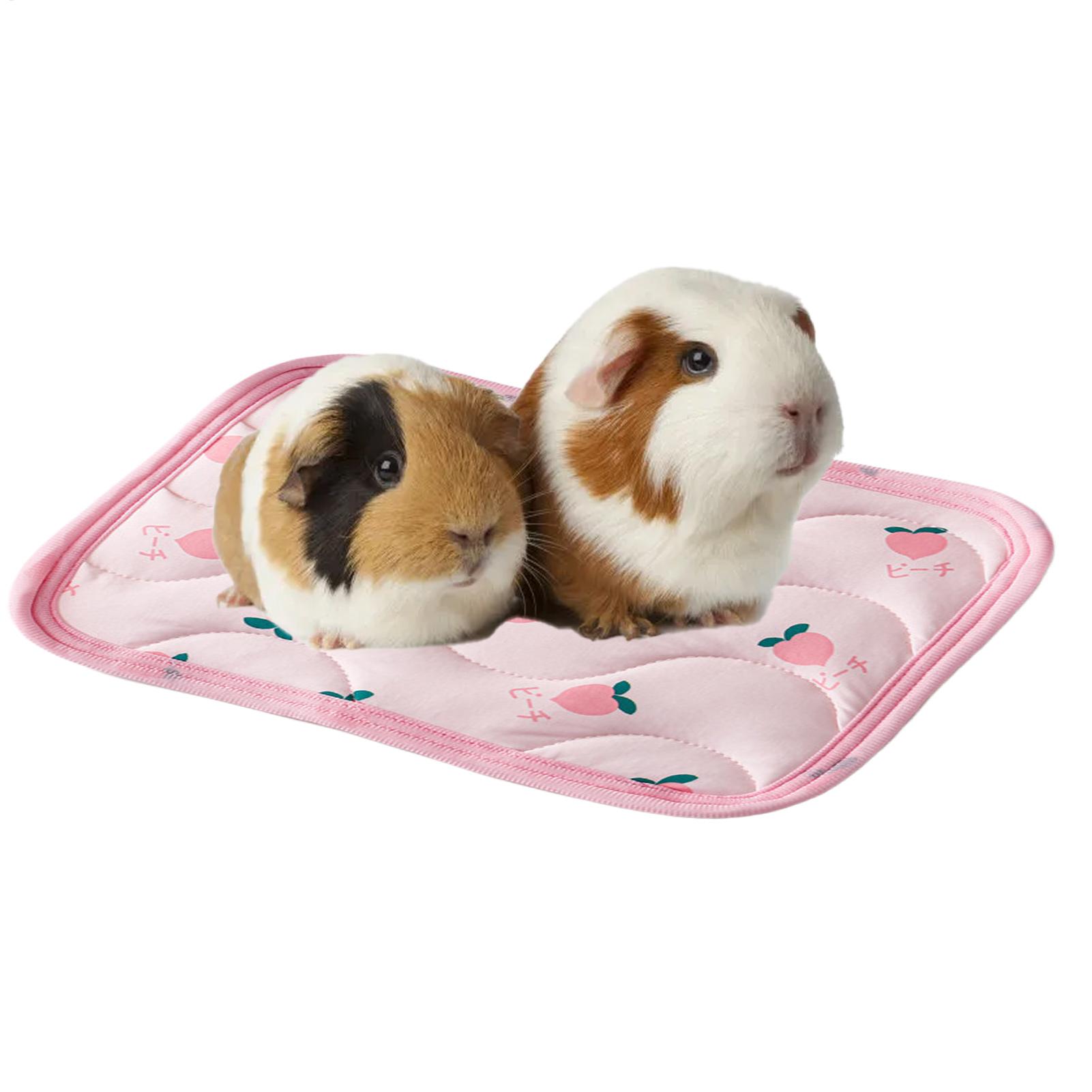 Alfombrilla Refrescante para M - Outdoor Camping Dog Bed reseña y precio