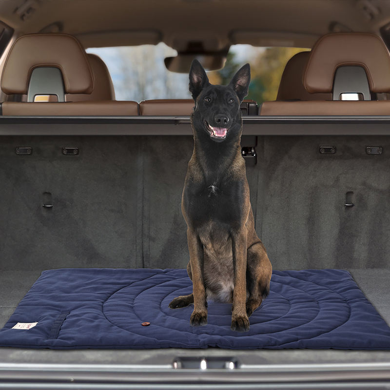 Alfombrilla portátil plegable  - Outdoor Camping Dog Bed reseña y precio