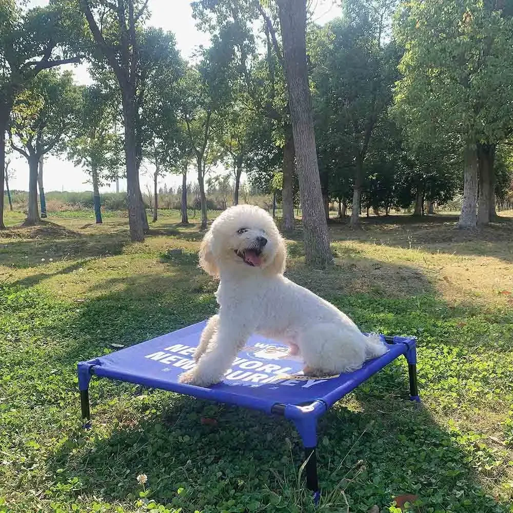 Cama elevada portátil para per - Outdoor Camping Dog Bed reseña y precio