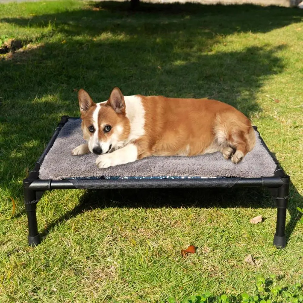 Cama Elevada para Perros para  - Outdoor Camping Dog Bed reseña y precio