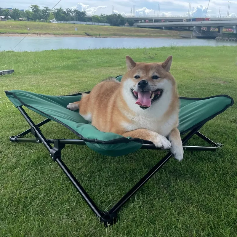 Cama Portátil Moderna y Lujosa - Outdoor Camping Dog Bed reseña y precio